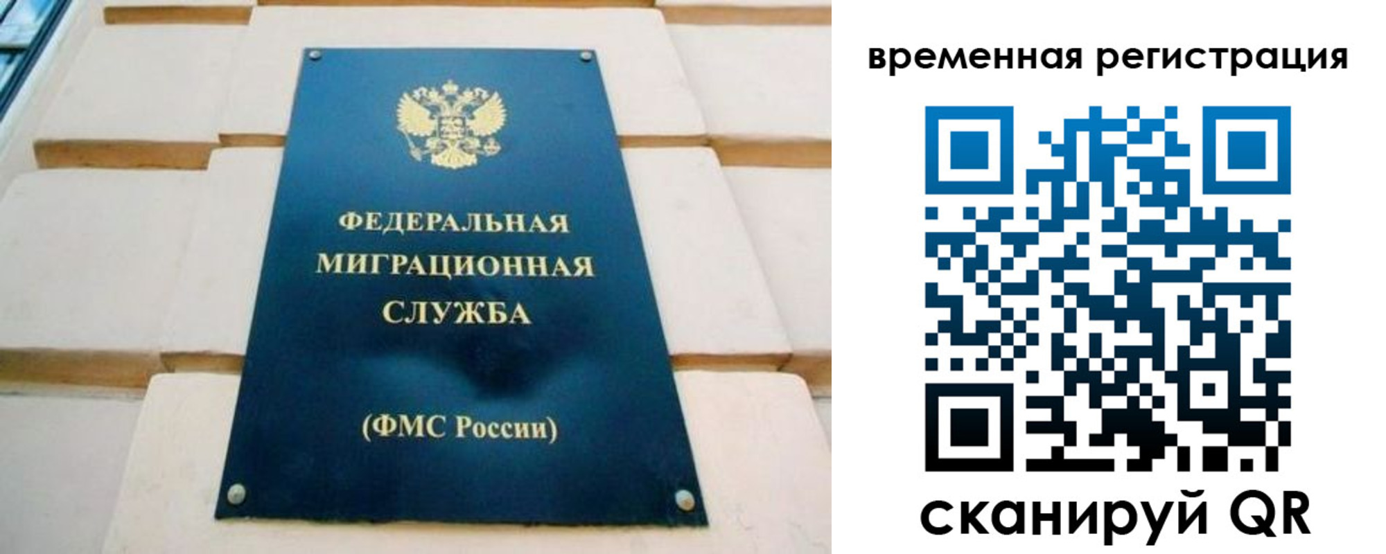 прописка гарантия в Бородино